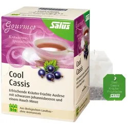 Salus Cool Cassis Kräuter-Früchte-Tee 15 St Filterbeutel
