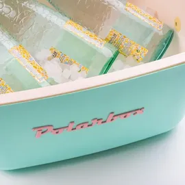 POLARBOX Kühlbox Classic 20 l