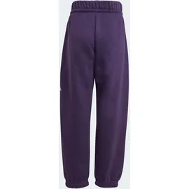 adidas Trainingsanzug ADIDAS SPORTSWEAR "LK BL FL JOG", Jungen, Gr. 128, aurora plum, powder plum, Obermaterial: 70% Baumwolle, 30% Polyester, Sportanzüge Trainingsanzug