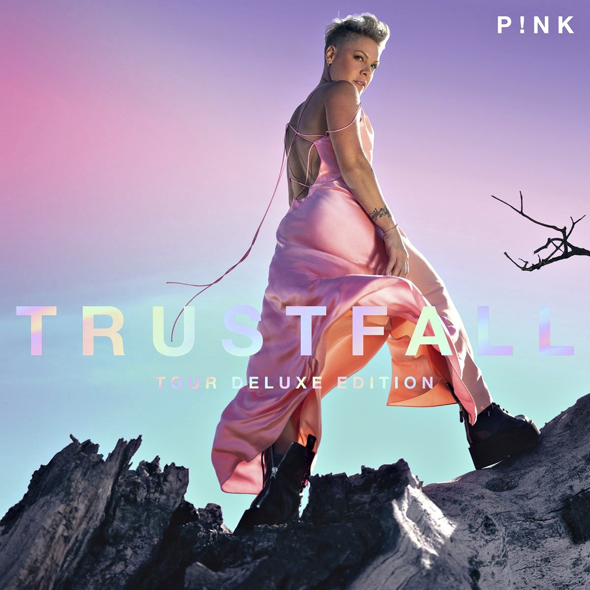 TRUSTFALL (Tour Deluxe Edition) (2 CDs) - Pink. (CD)