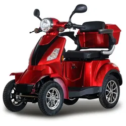 Stormborn R4 Elektromobil 25 km/h