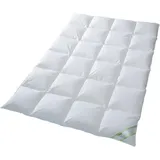franknatur - Daunendecke 90% Daune Winter Steppbett Bettdecke 135x200 Franzi-1