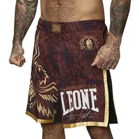 Leone 1947 Legionarivs II Bordeaux XL