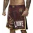 Leone 1947 Legionarivs II Bordeaux XL