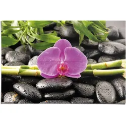 Poster REINDERS "Orchidee", rosa (farbe bild(er): rosa), B:91,5cm H:61cm, Papier, Bilder