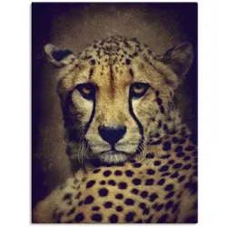 Artland Wandbild »Gepard«, Wildtiere, (1 St.), als Leinwandbild, Wandaufkleber in verschied. Größen Artland Farbe Bild(er): braun