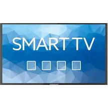 Megasat Royal Line III 19" LED HD Camping Smart TV