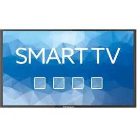 Megasat Royal Line III 19" LED HD Camping Smart TV