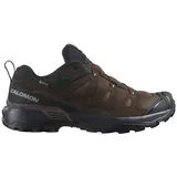 Salomon X Ultra 360 Ltr Goretex Wanderschuhe - Dark Earth / Delicioso / Sharkskin - EU 44 2/3