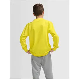 hummel hmlGO 2.0 Sweatshirt Kinder 5269 blazing yellow 164