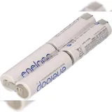 Akkuman L2x2 Inline BK-3MCCE 4,8V 1900 mAh 2 St.