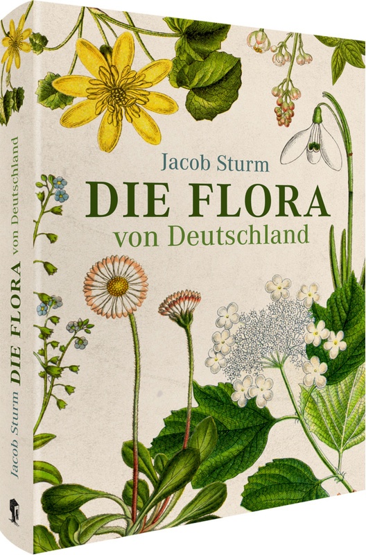 Jacob Sturm - Die Flora Von Deutschland - Jacob Sturm  Gebunden