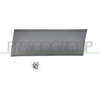 PRASCO Zier-/Schutzleiste, Kotflügel FT9001456