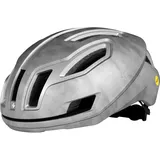 Sweet Protection Falconer 2Vi MIPS 53-56 cm grau/silber 2021