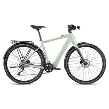 Besv JTR 1.1 2023 28 Zoll RH 490 cm Unisex grün