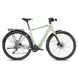 Besv JTR 1.1 2023 28 Zoll RH 490 cm Unisex grün