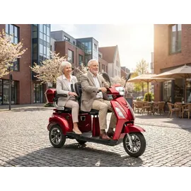 ECONELO E-Seniorenmobil Billy 2.0 3-Rad 1000 Watt Rot/Grau