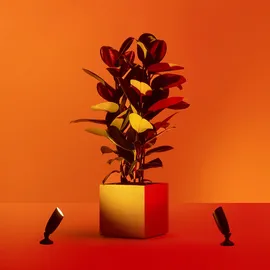 WIZ Outdoor LED-Außenstandleuchte Spot Tunable White & Color 2er Pack