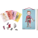 Janod Bodymagnet In 12 Sprachen - Multicolor - 12 Monate-7 Jahre