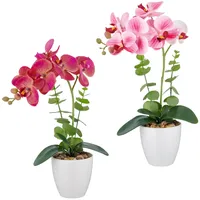 Creativ green Kunstorchidee CREATIV GREEN "Orchidee Phalaenopsis", bunt, H:40cm, Kunststoff, Kunstpflanzen, mit Eukalyptuszweigen