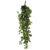 Mica decorations - Mica Künstliche Fittonia Hängend Grün 80 X 30 X 15 Cm Kunstpflanzen