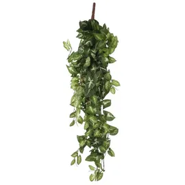 Mica decorations - Mica Künstliche Fittonia Hängend Grün 80 X 30 X 15 Cm Kunstpflanzen