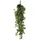 Mica decorations - Mica Künstliche Fittonia Hängend Grün 80 X 30 X 15 Cm Kunstpflanzen
