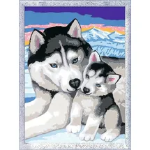 Ravensburger Malen nach Zahlen - Husky Kuss