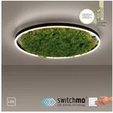 just light. LED-Deckenleuchte Gerda Ritus Moos 58,5 cm