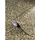 Glööckler Vliestapete Imperial 32 cm x 10 m 0 g Gold/Lila 52556