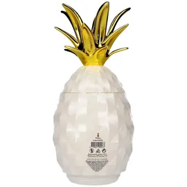 Piñaq COLADA 17% Vol. 1 l