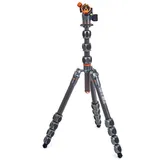 3 legged thing Pro 2.0 Albert Carbon grau