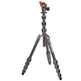 3 legged thing Pro 2.0 Albert Carbon grau