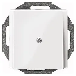 MERTEN 295619, Weiß, Thermoplast, Jede Marke, 1 Stück(e)