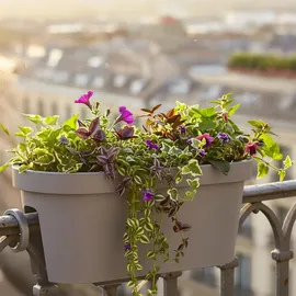 Spetebo Balkon Geländer Blumenkasten oval 60 x 20 x 20 cm Grau