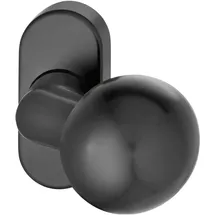 FSB Türknopf 07 0846 auf Rosette Aluminium schwarz matt
