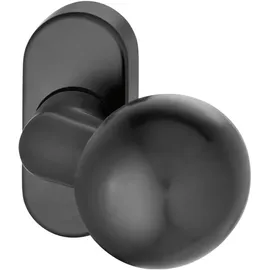 FSB Türknopf 07 0846 auf Rosette Aluminium schwarz matt