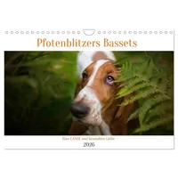 Calvendo Der Basset, eine LANGE und besondere Liebe (Wandkalender