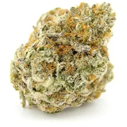 Growers Choice Forbidden Runtz XXL Auto Fem 3St.