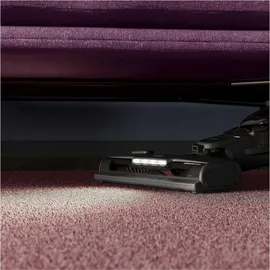 AEG Animal 5000 Akku-Staubsauger AS52AB18UG