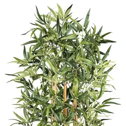 CREATIV green künstliche Pflanze Bambus, ca 210cm
