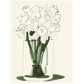 Diogenes Verlag AG Daffodils (Postkarte, 20 Ex)