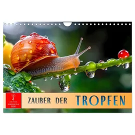 Calvendo Zauber der Tropfen (Wandkalender 2026 DIN A4 quer), CALVENDO Monatskalender: Der Zauber des Morgentaus - eine glitzernde Natur.
