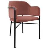 MIRJAN24 Stuhl Delivio (1 Stück), Beine aus Metall, 56x55x79 cm rosa
