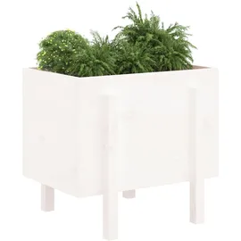 furnicato Hochbeet Pflanzkübel 62 x 50 x 57 cm