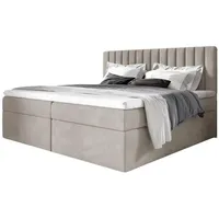 Fun Möbel Boxspringbett Schlafzimmerbett LINNEA 180x200cm Stoff Beige inkl.