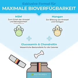 Plastimea Gelenk-Komplex Forte Plus Kapseln 90 St.