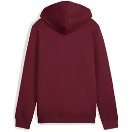Puma ESS 2 COLOR Small No. 1 Logo Hoodie FL B