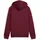 Puma ESS 2 COLOR Small No. 1 Logo Hoodie FL B
