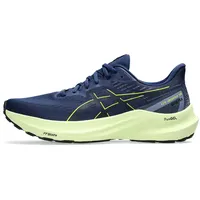 Asics GT-2000 10 GTX